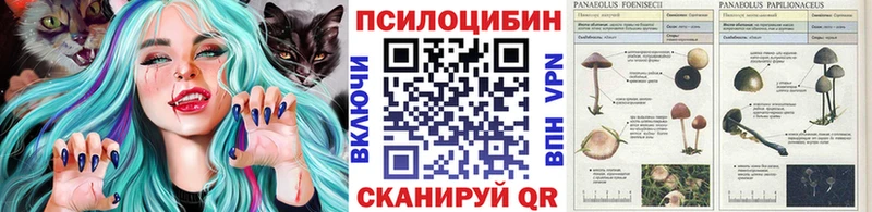 Галлюциногенные грибы мухоморы  Пучеж 
